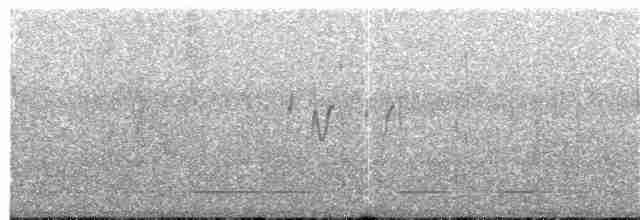 Темногрудый иглохвост - ML294734161