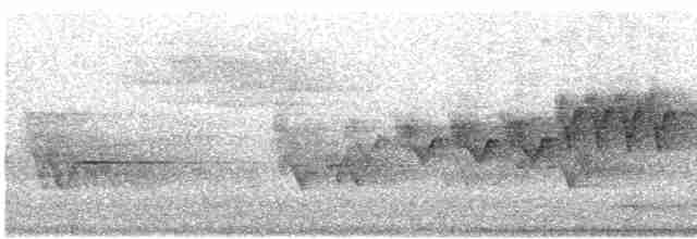 Cerulean Warbler - ML294884201