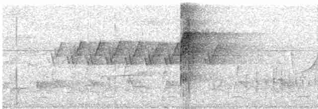 Kara Karınlı Sincap Guguğu - ML295052