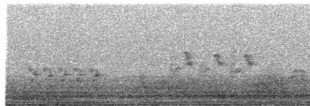 Australian Reed Warbler - ML295101061