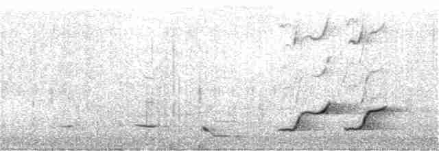 Серогрудый питуи - ML295101151