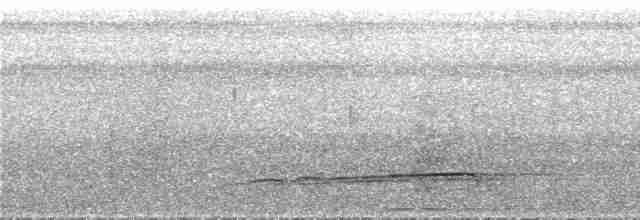 Лінивка-смугохвіст білогорла - ML295147