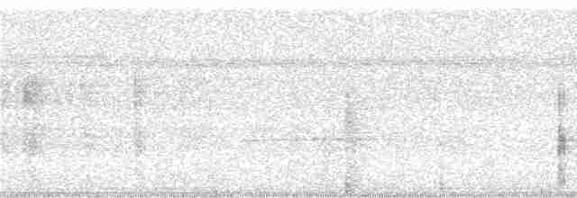 Kara Kanatlı Borazankuşu - ML295220