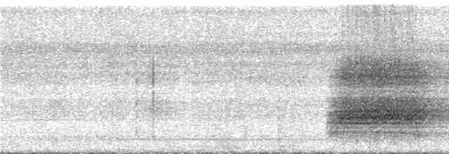 Kara Kanatlı Borazankuşu - ML295221