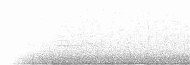 Цинантус синьогорлий - ML295276491