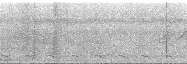 Чернохохлая гологлазка - ML295285