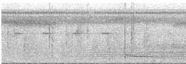 Zimtbürzel-Blattspäher - ML295295