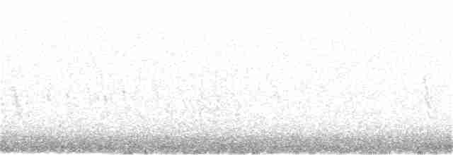 Plectrophane des neiges - ML295318491