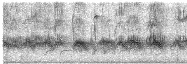 ML295319261 visualization