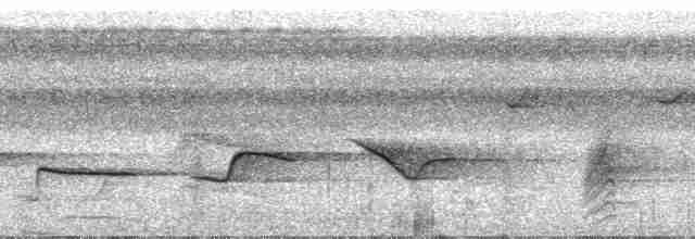 Oriole à épaulettes (cayanensis) - ML29535