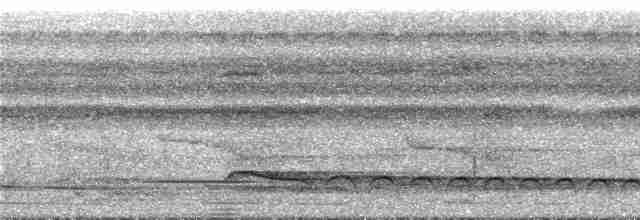 Buff-throated Woodcreeper (Dusky-billed) - ML295362