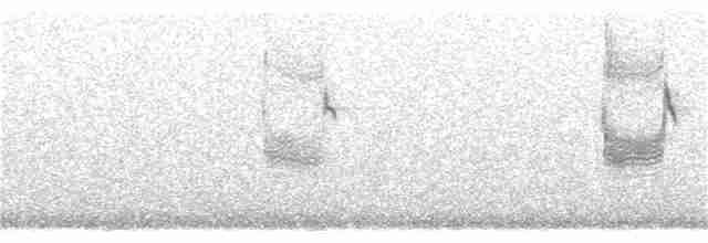 Iberian Gray Shrike - ML295437151
