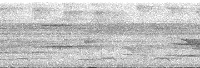 Лінивка рудоголова - ML29559