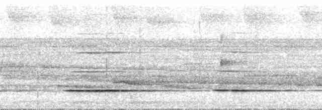 Bartlett's Tinamou - ML29560
