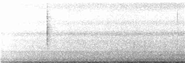 Black-browed Reed Warbler - ML295601011