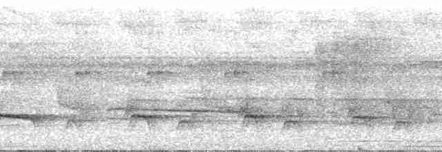 Дереволаз-міцнодзьоб середній [група orenocensis] - ML29562