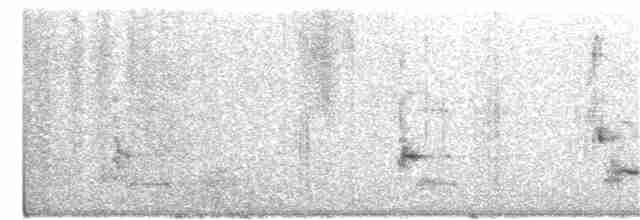 Loggerhead Shrike - ML295676581