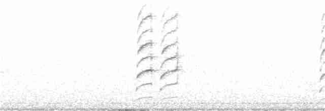 Loggerhead Shrike - ML295679501