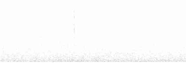Loggerhead Shrike - ML295681511