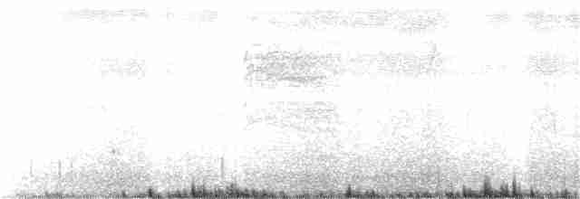 Kara Kuyruklu Bitkuşu - ML295704171