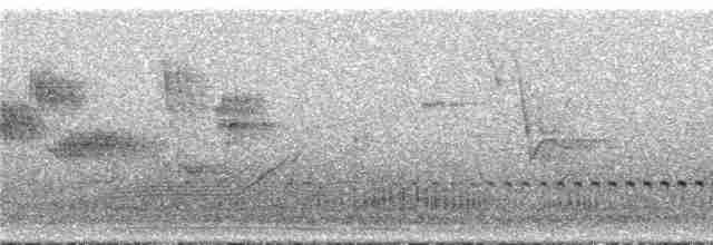 Benekli Notura Tinamusu - ML295807