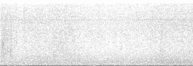 Isabellstreifen-Meisenschlüpfer - ML295901