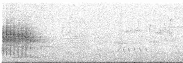Australian Reed Warbler - ML295926901