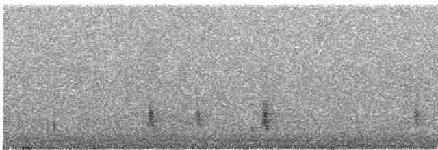 Дрізд-короткодзьоб плямистоволий - ML295989141