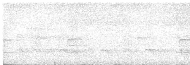 Тиранчик-мухолюб сіроголовий - ML296028521
