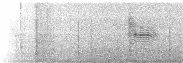 Kara Kuyruklu Bitkuşu - ML296032011