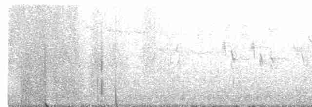 White-throated Dipper - ML296034081