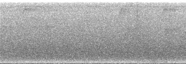 rorýs šedobřichý - ML296130