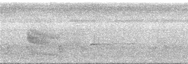 Rotspiegel-Ameisenvogel - ML296235