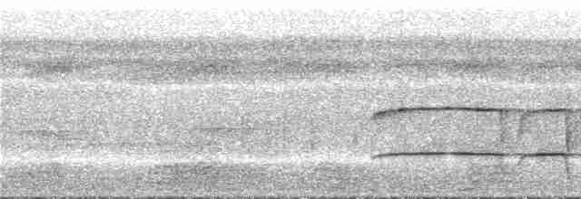 Kıvrık Gagalı Tırpangaga - ML296508