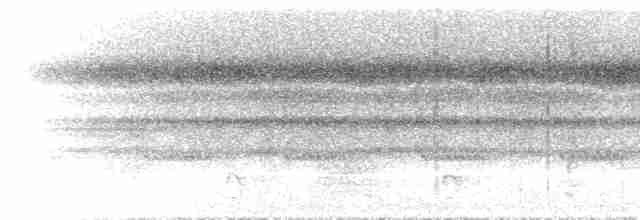 prikkstrupemaursmett (pyrrhonota) (kastanjeryggmaursmett) - ML296604