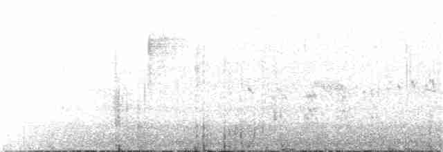 Серпокрилець-вилохвіст великий - ML296613431