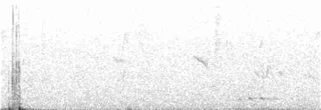Green-eared Barbet - ML296693201