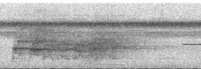 Black-tailed Trogon (Black-tailed) - ML29670