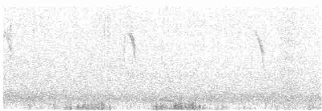 Берингийская жёлтая трясогузка (tschutschensis/plexa) - ML296706241