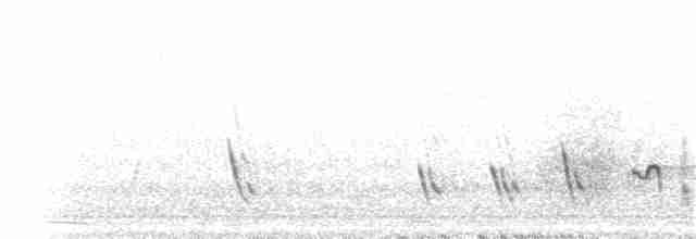 Golondrina Purpúrea (hesperia) - ML29679641