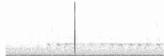 Pileated Woodpecker - ML296800961
