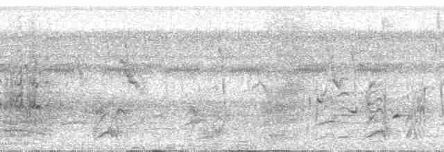 Common Gallinule (American) - ML29690