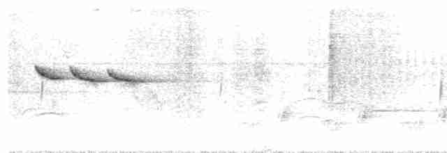 Кустарниковая эуфония - ML296904081