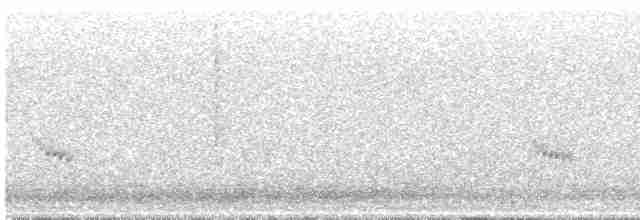 Кактусовый пересмешник - ML296944