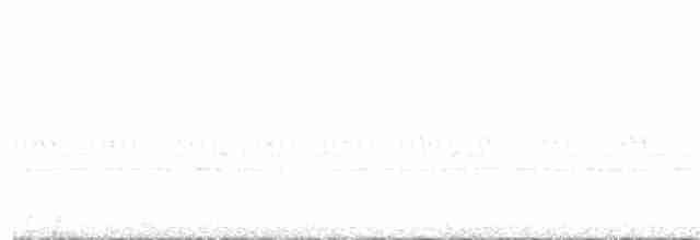Great Eared-Nightjar - ML296994341