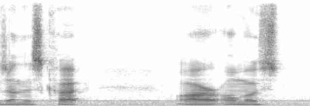 Гутурама рудочерева - ML29701