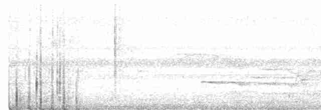 Puff-throated Babbler - ML297018361
