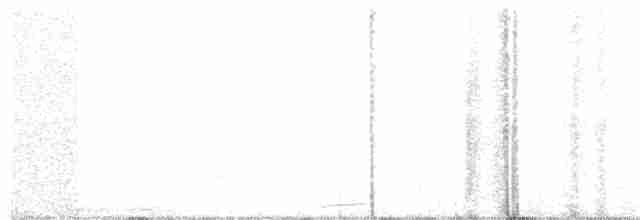 Тауї плямистий - ML297041941