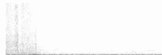 Cisne Trompetero - ML297064551