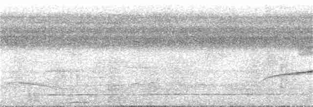 Bluish-slate Antshrike - ML297082011